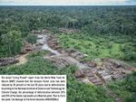 caption: why did you select this case? The Amazon rainforest has long been recognized as a repository of ecological services, not only for indigenous peoples and local communities, but also for the rest of the world. In addition, of all the world's rainforests, the Amazon is the only one that is still conserved, in terms of size and diversity. However, as forests are burned or removed and global warming intensifies, deforestation in the Amazon gradually dismantles the fragile ecological processes that have taken years to build and refine. Amazon Forest area has been reduced by 20 percent in the last 50 years due to deforestation. According to the National Institute of Science and Technology for Climate Change, the percentage of deforestation between 20% and 25% of the biome represents an inflection point. That is, from this point, the damage to the forest becomes IRREVERSIBLE.