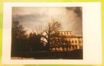 Ginkgo Biloba is a symbol of my city (Formigine). Each citizen and every visitor of the city linked the park to this tree. This park and the tree are the heart of the city, so all the people that live here can connect easly themselves to this three.