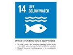 UN's Sustainable Development Goal 14 is also hampered as the waste from the festivals impact on the biologocal conditions of lake disturbing the aquatic life.