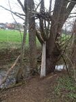 Man made tree structure - In Nurtingen by the side of the Tiefenbach stream there are some man made structure like the picture. It's an abstract sign from humans that they want to connect more with nature.