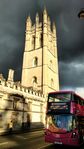 MagdalenCollegeOxford LandscapeSymbol SFlack.jpg