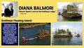 Diana Balmori.jpg