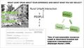 Thumbnail for version as of 14:32, 5 June 2017