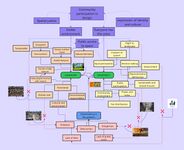 Concept map CLARISSA GARCIA