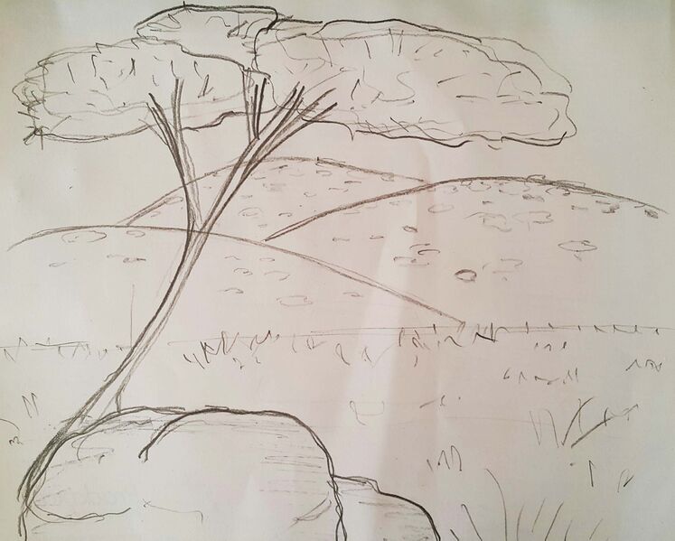 File:Sketch Rana Shukayr.jpg