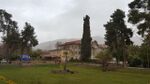 This a Eram Palace in Shiraz with its valuable history, where is famous because of its well-known poet in the world. Shiraz was a capital of ancient Iran and there was a palace of that dynasty. The garden around the building is a memorable public park in the scale of the country and its note standing Cedar, which is pictured here, became a famous tree as a” Naz Cedar”. today, Eram Garden and building are within Shiraz Botanical Garden (established 1983) of Shiraz University. They are open to the public as a historic landscape garden. They are World Heritage Site, and protected by Iran's Cultural Heritage Organization.