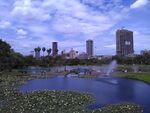 The Nairobi city skyline shows the city growth over the years, the transformations that have occured within the city. It shows its structure. with Nairobi being the capital city, it is often used as a representation of the country Kenya to foreigners and home to the nationals.