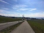 This picture includes different elements of my surrounding landscape that I always pass through it to my workplace. Organic roads, sky, Trees and houses that designed by nature. Zurich Switzerland.