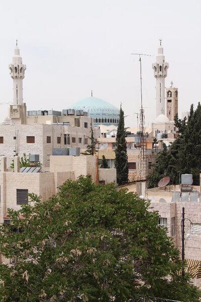 File:Nawar's Landscape symbol 1; a mosque and a churh in Amman.jpg
