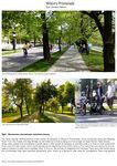 Wilson's Promenade is the street which is a symbol of connection, nature and recreational activities. this is the street which connects two part of the city through nature and it has river beside it. people go usually there to walk or ride bicycles.(Sarajevo-Bosnia and Herzagovina)