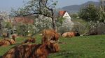 E9° 25,838') Cultural landscape with old half-timbered houses and historic landuse. They practice traditional handcraft and agriculture