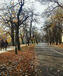 This promenade on the Miljacka riverfront, surrounded on the sides with thick rows of trees is closed for the traffic after 5:00 p.m. and on weekends. It allows its users to turn it into whatever they want and need it to be, whether you're walking your dog, roller skating or running marathons. It is a place that gathers everyone in their leisure time and makes up for a catalyst of all activities.