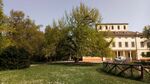 Ginkgo Biloba is a symbol of my city (Formigine). Each citizen and every visitor of the city linked the park to this tree. This park and the tree are the heart of the city, so all the people that live here can connect easly themselves to this three.