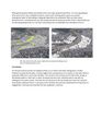 Manifesto page-0003, Tara Đukić.jpg