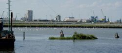 Ravenna harbour and bird sanctuaries are interlinked