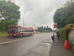 Accessibility: a long route from the bus stop to Salus space without any proper footpath which is a challenge for schooling children and elderly residents.