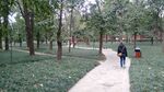 ChengduPark LandscapeSymbol SFlack.jpg