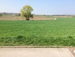 agricultural land in Vaihingen an der Enz which is used for cultivating fodder and grasses. (Negar)