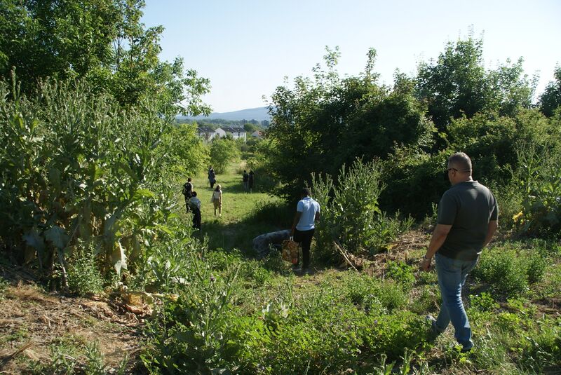 File:OLA BIP VAC 5.JPG