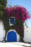 Sidi Bou Said is located in the Gulf of Tunis and it is the first conservation area in the world.The village has a calm, relaxed atmosphere and outstanding views of Mediterranean Sea.Everything is well-kept with white washed walls, blue doors and windows with traditional motifs.Behind these doors, famous artists such as Paul Klee and Louis Moillet, musicians, important families and government officials have lived and worked.Well, these doors are symbol of charm, beauty, history and culture that Sidi Bou Said holds.