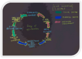 Thumbnail for version as of 13:30, 15 July 2020