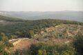 The conflict was based on the fact that this forest represents an integrated ecosystem that houses over 100 plant species — 13 per cent listed as rare, 4 per cent as locally or internationally threatened and 13 per cent as holding medicinal value, according to ecologists at the Royal Society for the Conservation of Nature (RSCN) and it promotes Eco-Tourism in the area and this has sparked a controversy among Environmentalists, activists and the local community and the local tourists and described it as a flagrant violation of the laws.