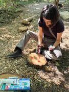 Building the forest play landscape (5)