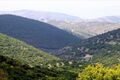 Cutting down centennial trees and Ever green Oak in one of Jordan’s shrinking forests "Bergesh" in Ajloun,Jordan, has sparked a controversy among Environmentalists, activists and locals and described it as a flagrant violation of the laws.