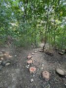 Building the forest play landscape (4)