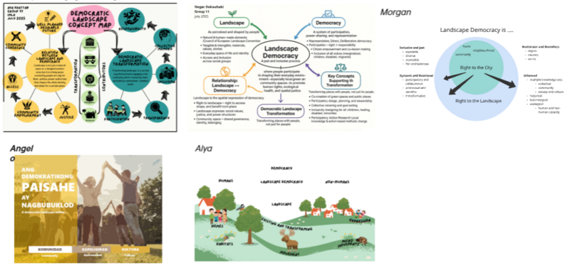 File:Individual democratic concept map.png