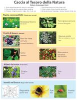 The Nature Scavenger Hunt created by Mary Christensen, 2023