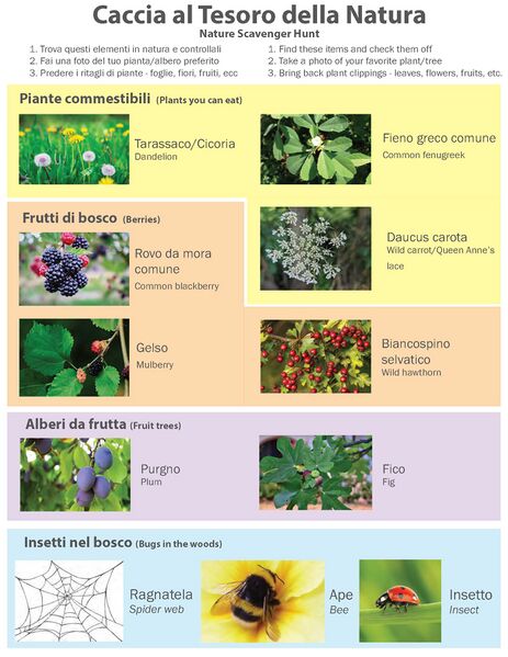 File:Nature Scavenger Hunt 7-15 Page 1.jpg