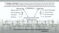 Vishnu's concept map
