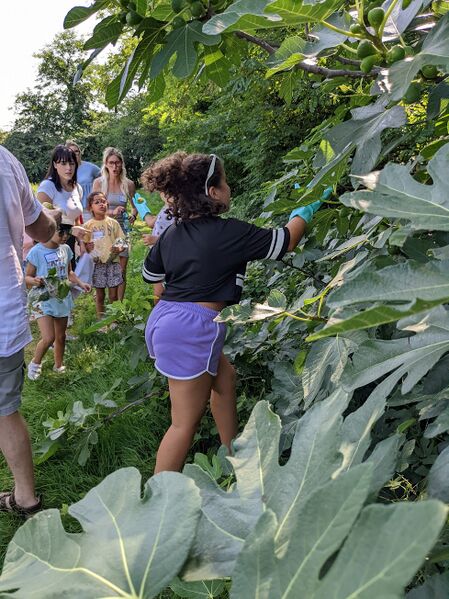 File:Foraging.jpg