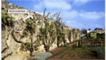 caption: In Paris suburban, a site where the king sun's gardener at created a system for produce some peach. after four century exploited the industrial revolution have emptied the pitch. Over time this place to be transformed in heritage site.