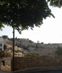 This picture was taken in Jabal Amman in Jordan (31°57'03.1"N 35°55'39.2"E). It symbolizes the Urban sprawl in correspondence to the culture.The habitat clustered units reflect the social intimacy of a local Ammani society,simultaneously the openings within each building maintain a level of privacy and territoriality which originates from the Arab and the Islamic traditions, and since this was our faculty (Architecture) view it was perceived also as an educational symbol.