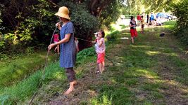 Nature experience along the brook