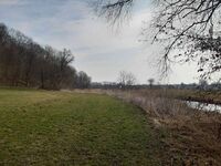 A few wooded areas.