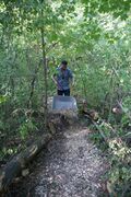 Building the forest play landscape (3)