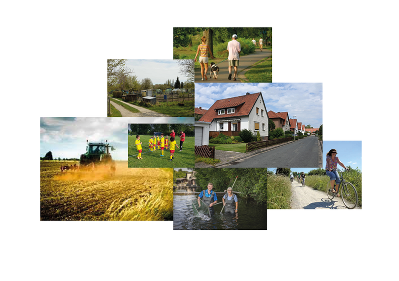 File:Collage.png