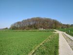 This hill is named after the village, everybody in the village knows this hill. Young people go there to play. It’s also a beacon in the surrounding landscape especially because the surrounding landscape is bowl-shaped and has no high trees. 50°52'16.8"N 4°34'23.5"E