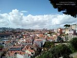 I forgotten tree surrounded and repressed by buildings at the top of a hill with a bride view over Lissabon, source: Türkoglu, F. (2019)