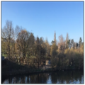 Thumbnail for version as of 17:13, 8 May 2021